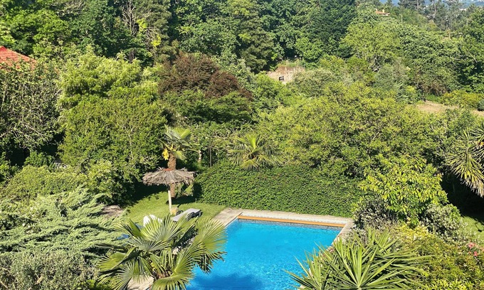 Vila Cha do Marao House | QUINTA DE RIBAS - Les Bougainvilliers charming house for families or groups