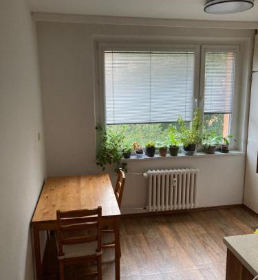 Rajec Apartment | Rajec