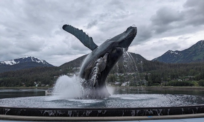 Mendenhaven Apartment | Ranger's Manor, a Peaceful Haven near the Glacier