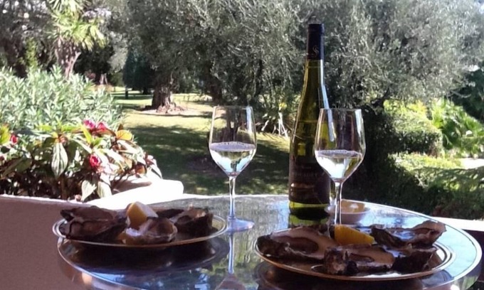 California - Pezou Apartment | Rare gem, rooftop villa, 150m2 living space on park, janitor air-conditioning, pisc, pkg,