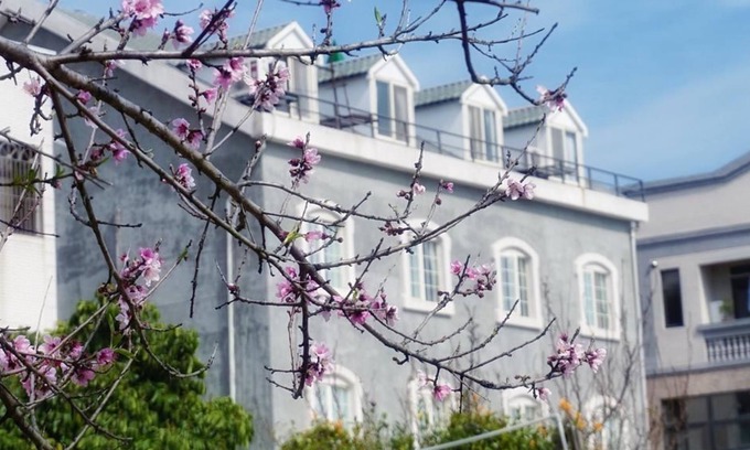 Jinhu House | Red Roof B&B