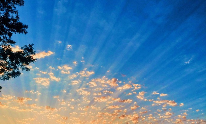 East Olympia Apartment | Reel Suite Cottage at the Lake