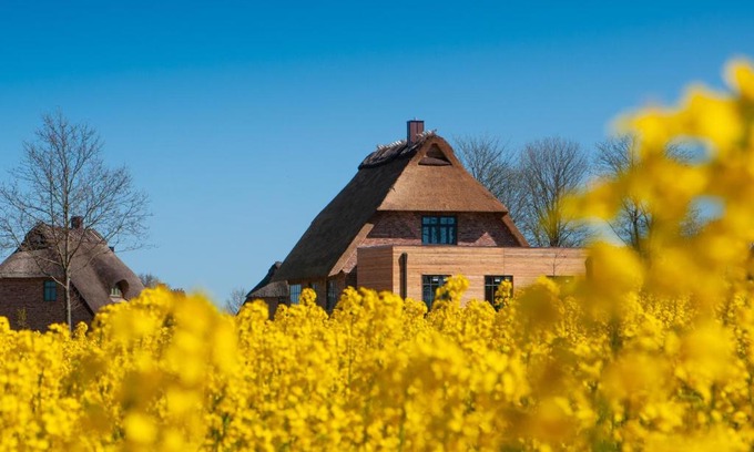 Nieby House | Reetdorf Geltinger Birk Atelierhaus Steilküste