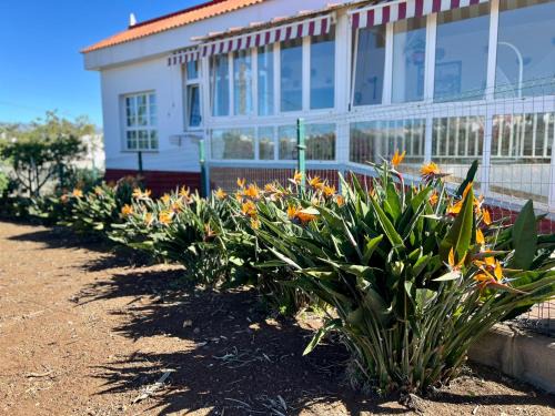 Firgas House | Refugio de la calma