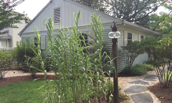 The Pines House | Rehoboth Beach - The Pines - Henlopen Avenue Cottage - 2 blocks to the beach
