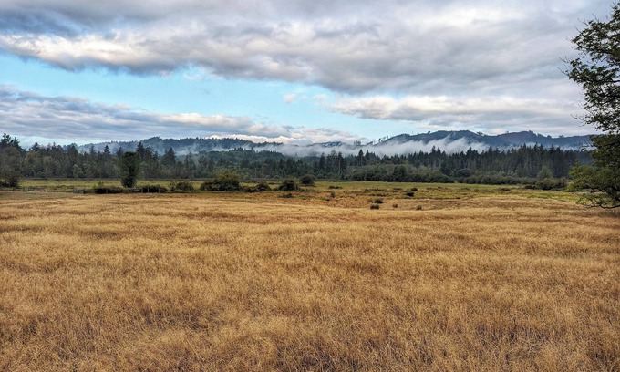 Littlerock House | Relax and recharge in a place that feels remote but it just minutes from town.