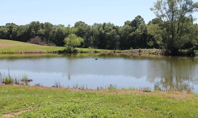 Thompsonville Cabin | Relax at Pond View Loft—your cozy barn-top retreat with pond views, fires, and fishing fun.