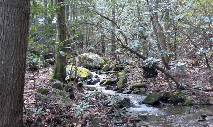 Tellico Plains Cabin | Relax in Seclusion at the 'Cozy Creekside Lodge' with Creekfront Sleeping Porch