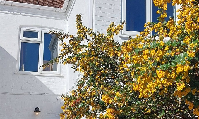 Clowne House | Relax in Style – Beautiful Family Home Near Clowne Greenway