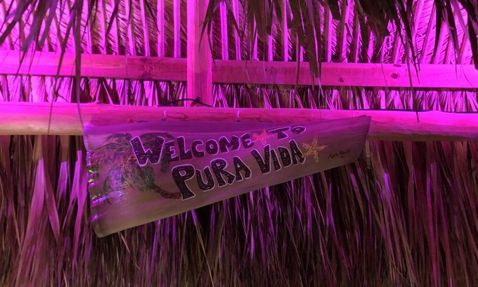 Englewood House | Relax under the Tiki Hut. Build memories! Without the Boca Grande price tag!