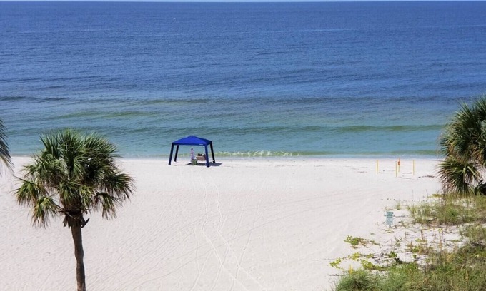 Longboat Key Apartment | Renovated Beach Paradise. Ground Floor unit 64