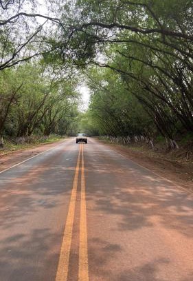 Alto Parana Department House | Residencia Borges - Tunel Verde