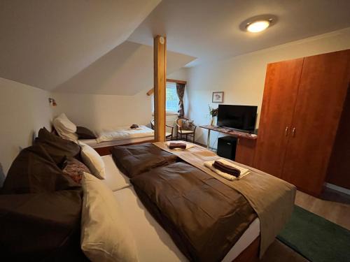 Orlik nad Vltavou Hotel | Restaurace Staré Sedlo