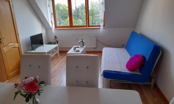Ceske Budejovice Apartment | Riegrova