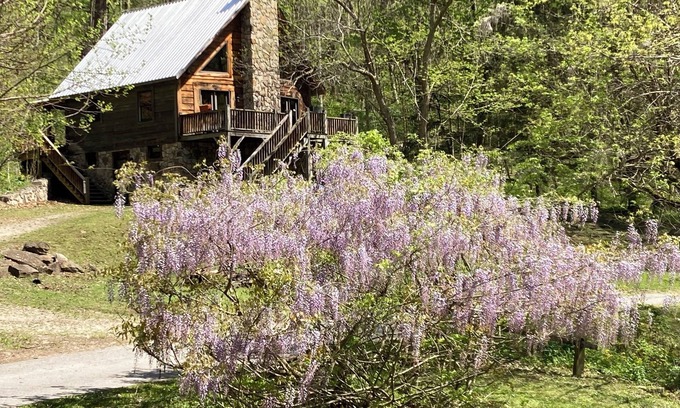 Prince Cabin | River Front property in the New River Gorge National Park on the New River