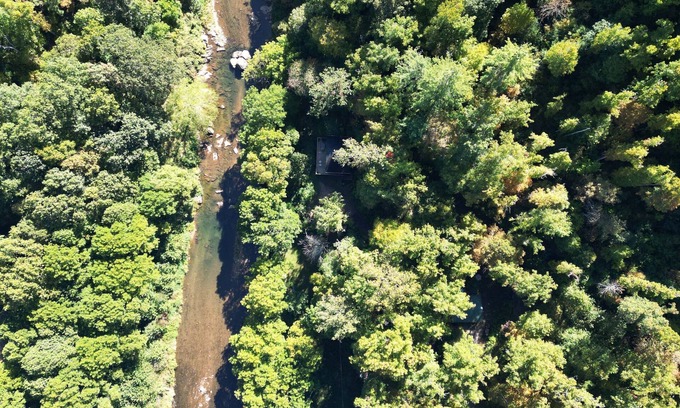 Burnsville Cabin | Riverfront in Burnsville near Asheville, Mt Mitchell, swim, fish, hike, ski