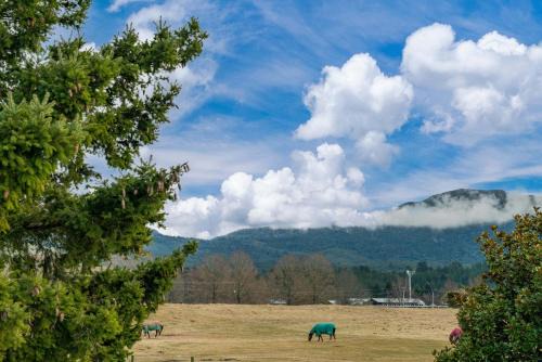 Turangi House | Riverside Haven - Turangi Holiday Home