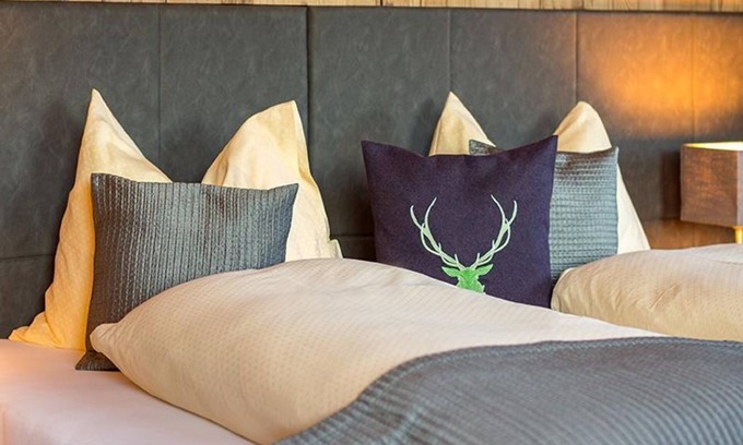Muehlbach Am Hochkoenig Apartment | Room 102 - The Grünholz Aparthotel