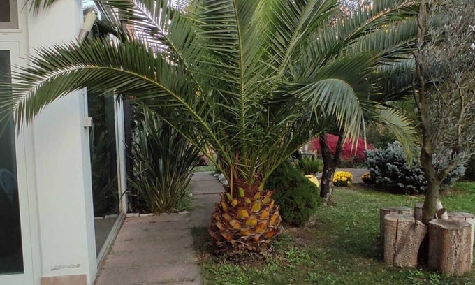 Dese House | Room for 2-3 pers. with private bathroom.
