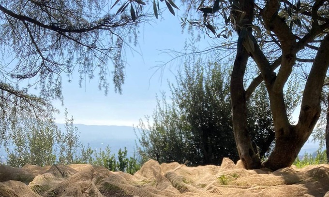 Terni Villa | Room with mountain view and the city of Terni in a villa among the olive trees.