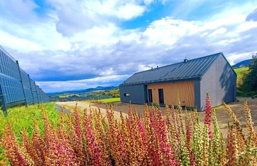 gmina Korzenna Villa | Rosochata 313 Domek w górach z Sauną Jacuzzi Basenem "Panieński" ruska Bania