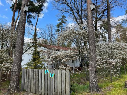 Rutbeek Ski Chalet | Ruime Chalet i/h bos met grote tuin en zwembad