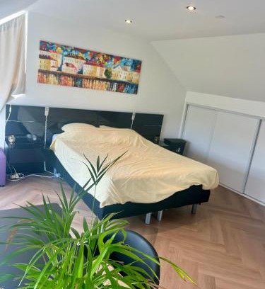 Leeuwarden House | Ruime slaap kamer met werkplek en privé badkamer bij Jacqueline