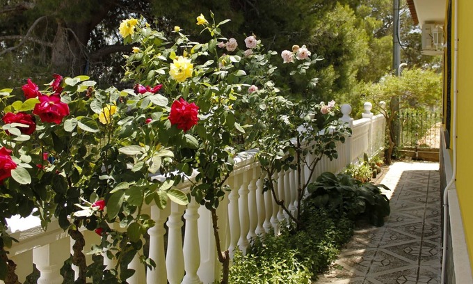 Venta del Moro Cottage | Rural house Hoces del Cabriel. Casa del Pino Gori