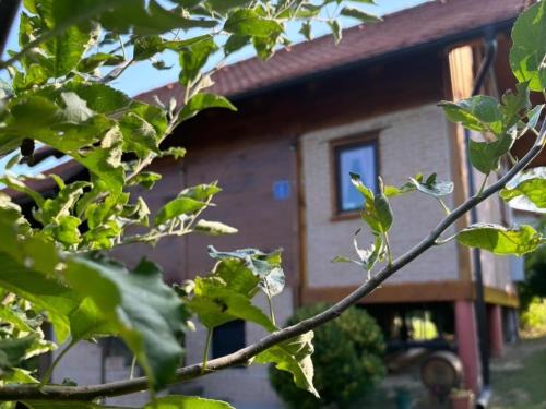 Gornja Stubica House | Ruralna kuća za odmor Brezanka, Zagrebačka ulica 21 Gornja Stubica