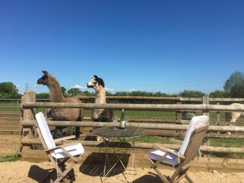 Coalpit Heath Apartment | Russet