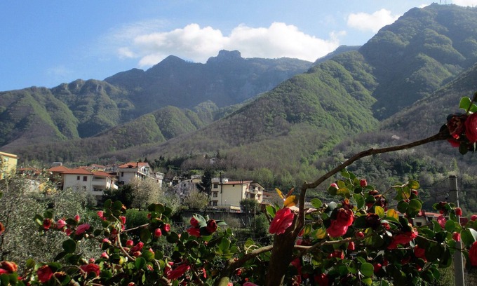 Piazza-Tralia-Pendolo House | Rustic apartment on the ground floor with citrus garden