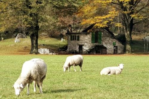 Gordevio House | Rustico Lucia