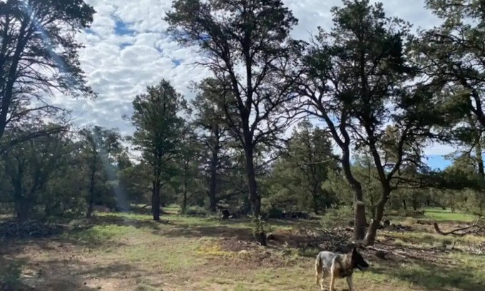 Quemado RV Rental | RV Mountain Getawaynn