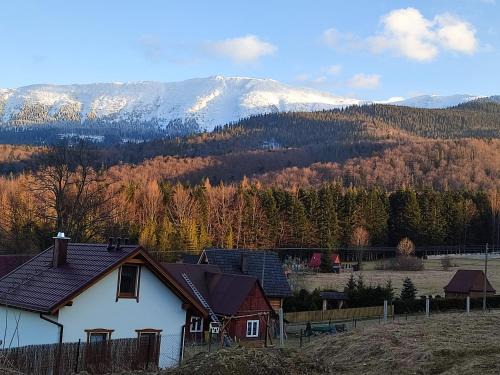 Zawoja Ski Chalet | Słoneczna Chałupka