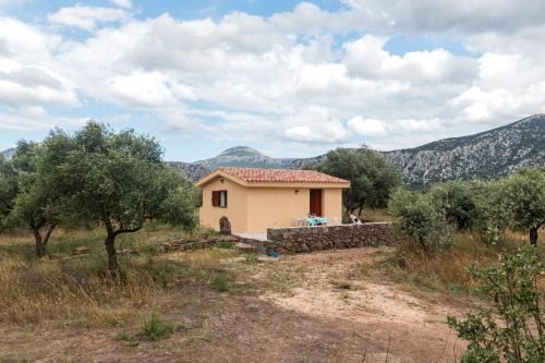Dorgali House | S'Ulumu
