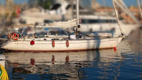 Genoa Boat Rental | sailing Delfina