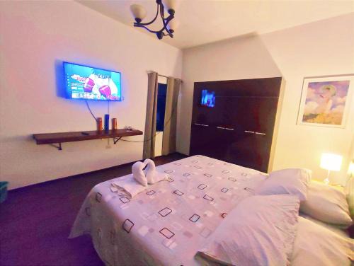Historical Center House | Samay Misti Apartment