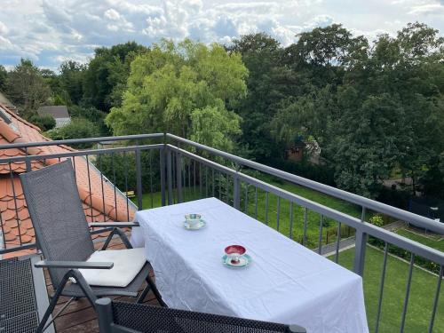 Bitterfeld Apartment | Saniertes Penthouse im Park am Goitzschesee