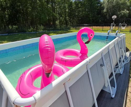 gmina Pokrzywnica Apartment | Sarenkowo dom z balia ogrodowa