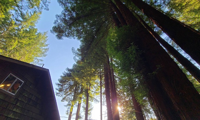 Fieldbrook Cabin | (Sauna*)Serene Redwood Retreat in Fieldbrook