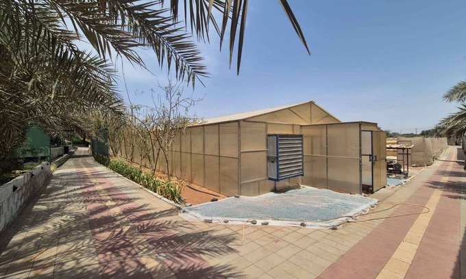 Dubai Other | Scenic Farm Tent Stay Nature,Animals & Fresh Air