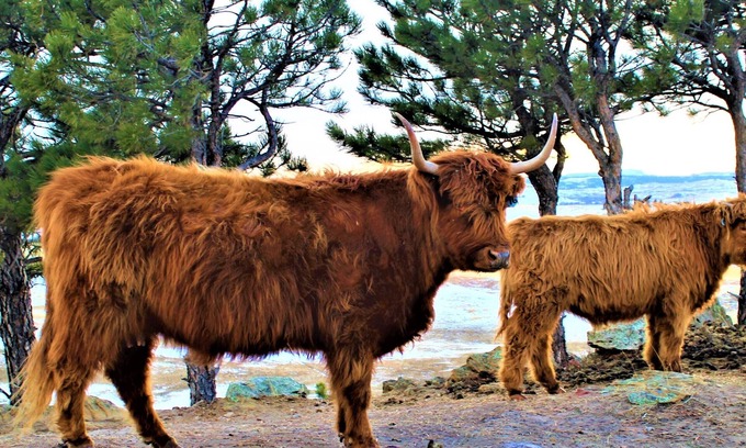 Belle Fourche House | Scenic Ranch Country Retreat, 10 miles from town