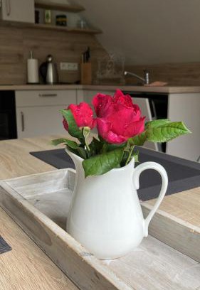 Bordelum Apartment | Schöne moderne Ferienwohnung