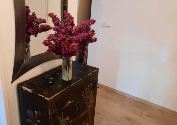 Graz City Centre Apartment | Schöne Wohnung in der Grazer Innenstadt