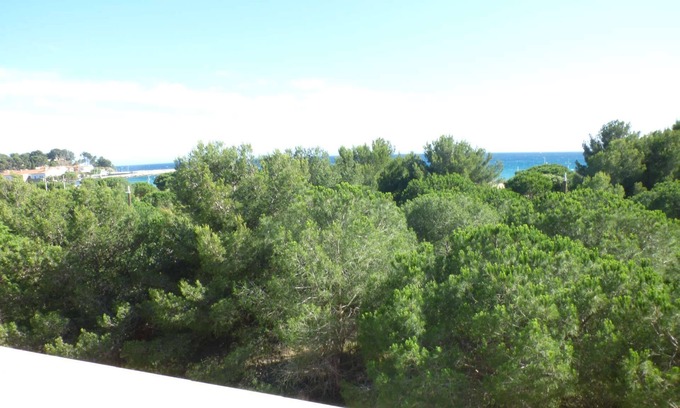 Les Sablettes Apartment | Sea view, air conditioning, Wifi, beach in front
