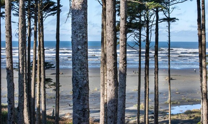Seabrook House | Seabrook's Oceanaire offers luxury oceanview home for large groups!