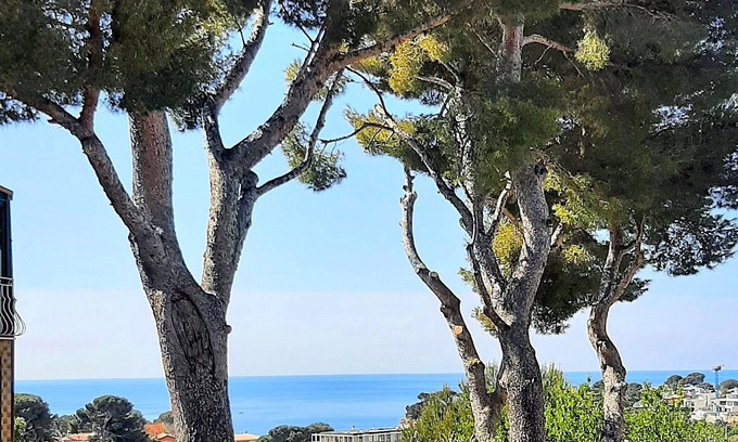 Carry-le-Rouet House | Seaside house under the pines, calm and serenity for a rejuvenating stay