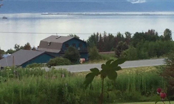 Kachemak House | Seaview! Amazing 180 Degree View Of Kachemak Bay, Glaciers, & The Homer Spit!