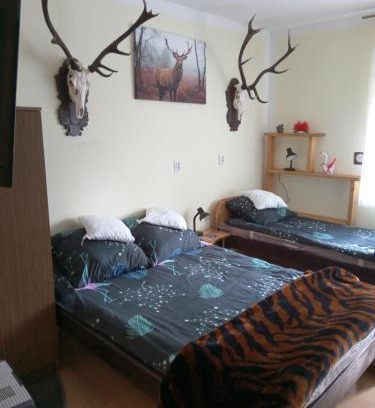 Nowa Ruda House | Seba