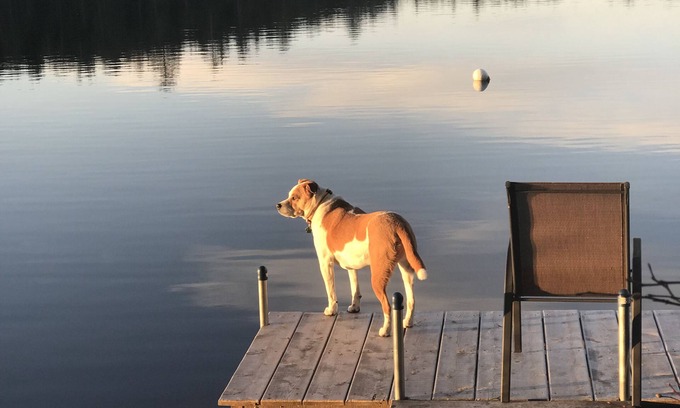 Liberty Cabin | Secluded 1-bedroom cabin in Liberty with pond frontage